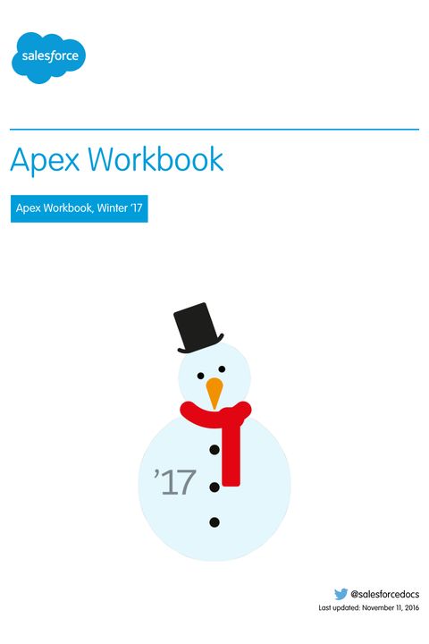 Apex Workbook